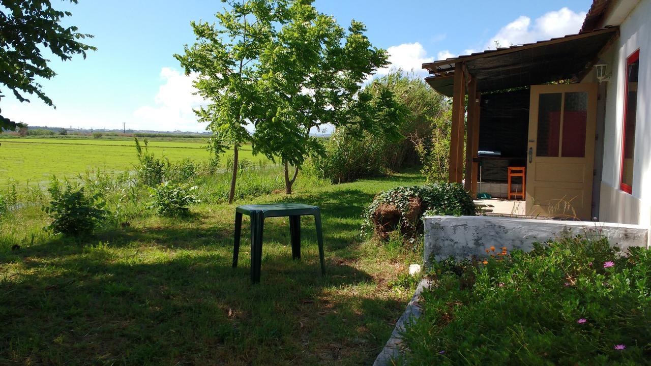 Termas Da Azenha Hotel Figueira da Azoia Eksteriør billede